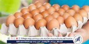 أسعار طبق البيض اليوم الاربعاء 3-9-2025 في قنا - زاجل الإخباري