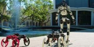 302 ألف روبوت صناعى فى عام واحد.. الصين تهيمن على 54% من المبيعات العالمية - الأول نيوز