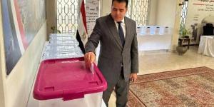 الهيئة الوطنية تنشر بثا مباشرا بتفاصيل مؤتمر متابعة تصويت المصريين بالخارج - الأول نيوز