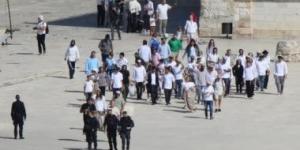 السعودية تدين استمرار انتهاكات الاحتلال الإسرائيلى والمستوطنين المتطرفين - الأول نيوز