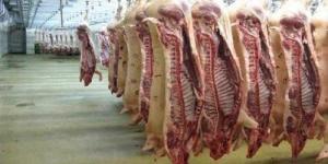 أسعار اللحوم في مصر اليوم الثلاثاء - الأول نيوز