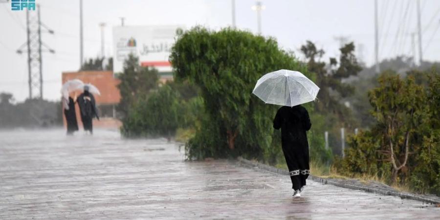 طقس الجمعة.. أمطار ورياح مثيرة للأتربة على أجزاء من 7 مناطق - الأول نيوز