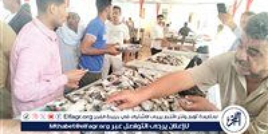 أسعار السمك اليوم الخميس 4-9-2025 في محافظة قنا - زاجل الإخباري