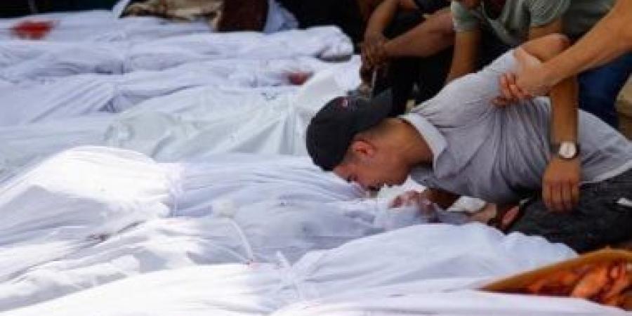 79 شهيدا فلسطينيا بنيران وغارات الاحتلال الإسرائيلي على قطاع غزة خلال 24 ساعة - زاجل الإخباري