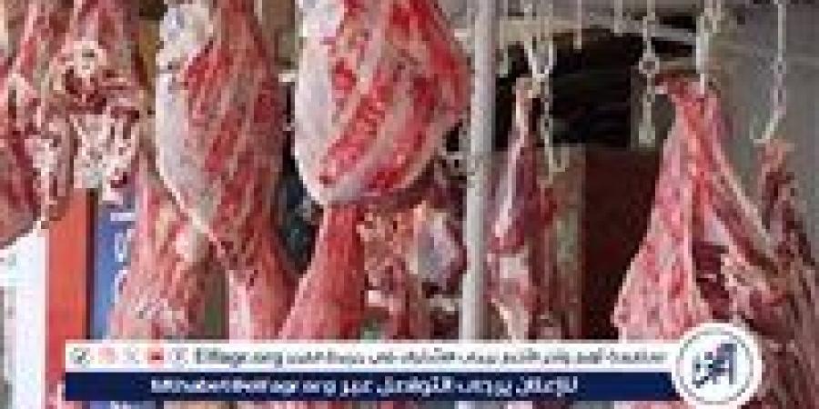 أسعار اللحوم الجملي والضاني اليوم الخميس 4-9-2025 في الأسواق ومحال الجزارة بقنا - زاجل الإخباري