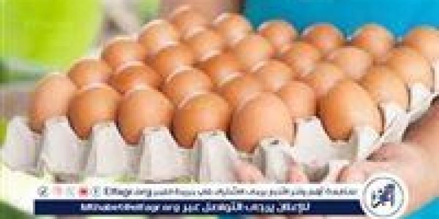 أسعار طبق البيض اليوم الخميس 4-9-2025 في قنا - زاجل الإخباري
