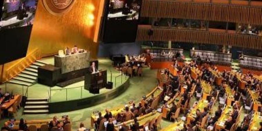 سفيرة فلسطين بباريس: اعتراف فرنسا بدولة فلسطين هو اعتراف بحق شعبنا فى تقرير مصيره - الأول نيوز
