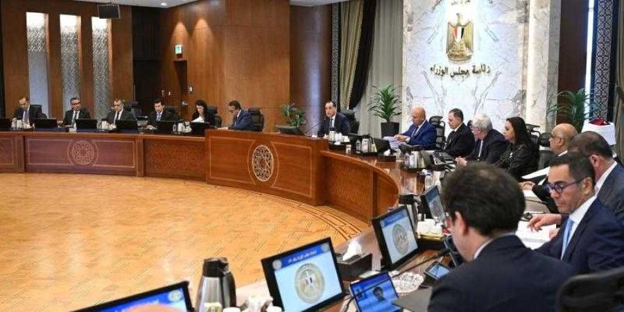 ننشر قرارات مجلس الوزراء اليوم - الأول نيوز