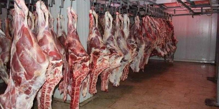 أسعار اللحوم في مصر اليوم الأحد - الأول نيوز