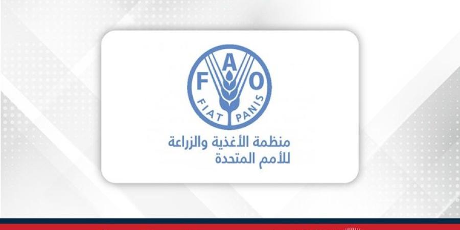الفاو: انخفاض أسعار الأغذية عالميًا في سبتمبر بفعل تراجع السكر والألبان - الأول نيوز