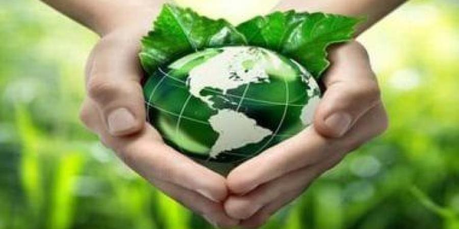 الإمارات: التجارة العالمية المفتوحة تلعب دورا محوريا في تسهيل تطور الاقتصاد الأخضر - الأول نيوز