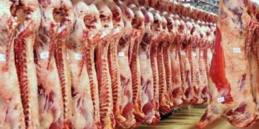 أسعار اللحوم في مصر اليوم الأحد - الأول نيوز