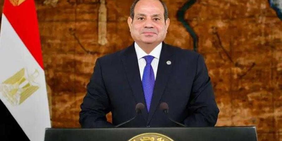 الرئيس السيسى: حماية المياه تمثل قضية مصيرية ولم تعد شأنا محليا أو إقليميا - الأول نيوز