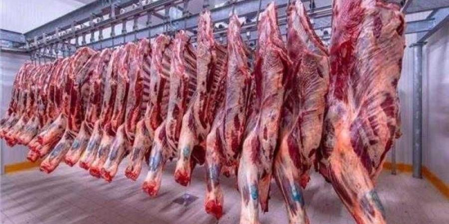 أسعار اللحوم في مصر اليوم السبت - الأول نيوز