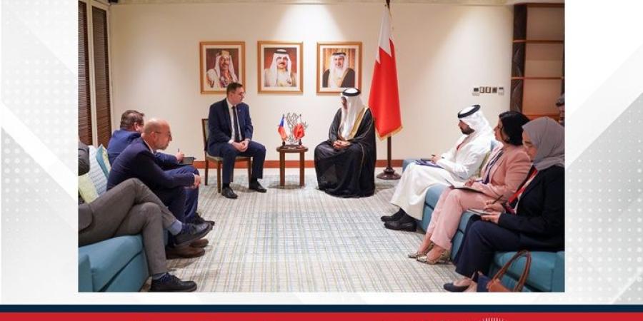 وزير الخارجية يلتقي وزير الخارجية في جمهورية التشيك - الأول نيوز