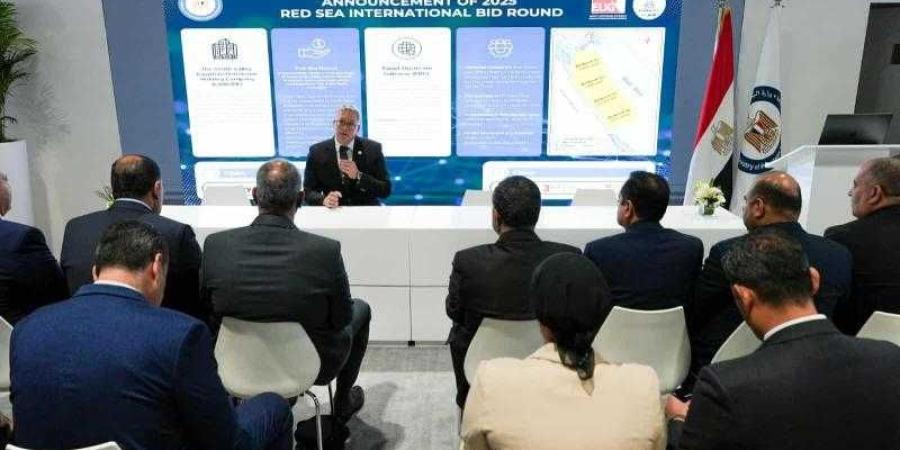 مصر تطرح مزايدة عالمية جديدة للبحث والاستكشاف في 4 مناطق بالبحر الأحمر بنظام محفز للمستثمرين - الأول نيوز
