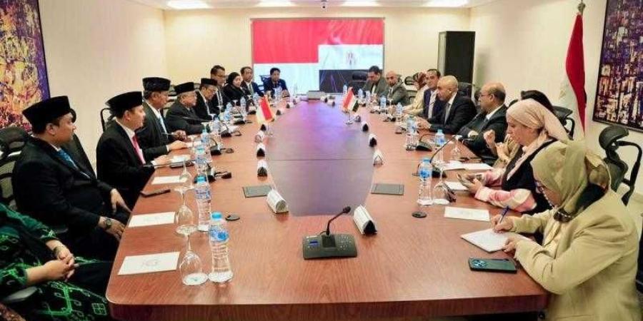 وزير التربية والتعليم يبحث مع نظيره الإندونيسي سبل تعزيز التعاون وتبادل الخبرات في مجال التعليم والتعليم الفني - الأول نيوز