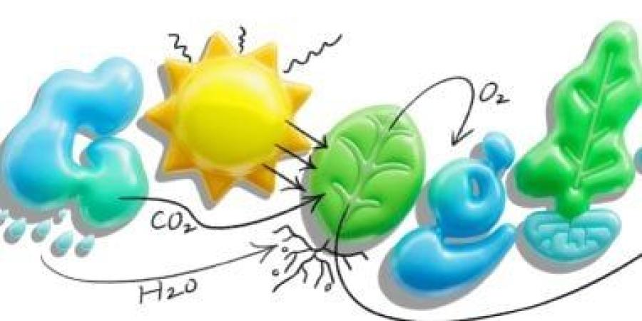 جوجل تحتفل بعملية التمثيل الضوئى بدودل على صفحتها الرئيسية فى مصر وإسبانيا - الأول نيوز