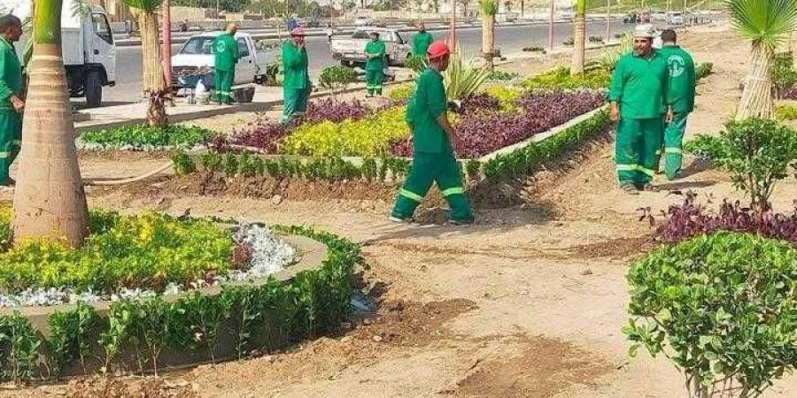 وزيرة التنمية المحلية تعلن انطلاق المرحلة الرابعة من المبادرة الرئاسية ”100 مليون شجرة” بمحافظة الشرقية - الأول نيوز