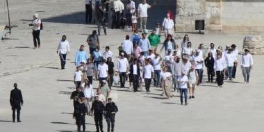 مستوطنون يطلقون الرصاص على أطراف بلدة سنجل - الأول نيوز