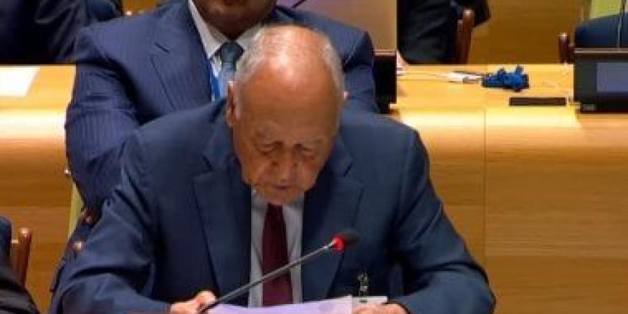 أبو الغيط: قرار مجلس الأمن حول غزة بداية طريق نحو تجسيد دولة فلسطينية - الأول نيوز