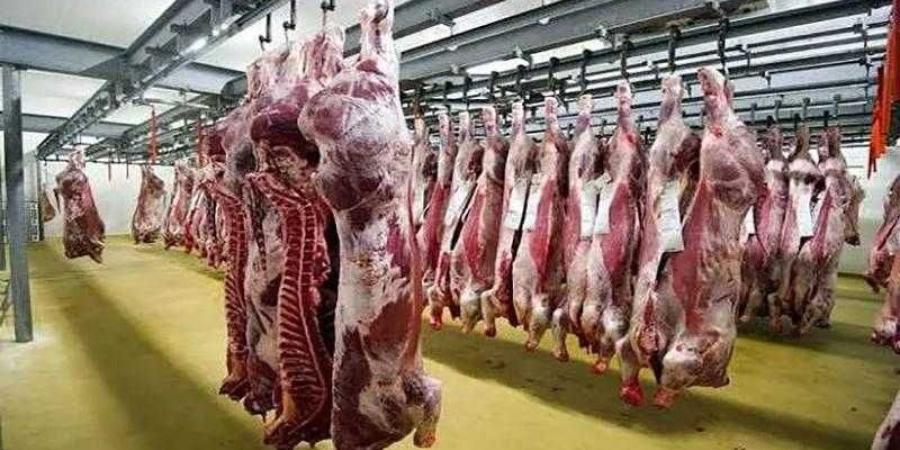 رأسعار اللحوم في مصر اليوم الأحد - الأول نيوز