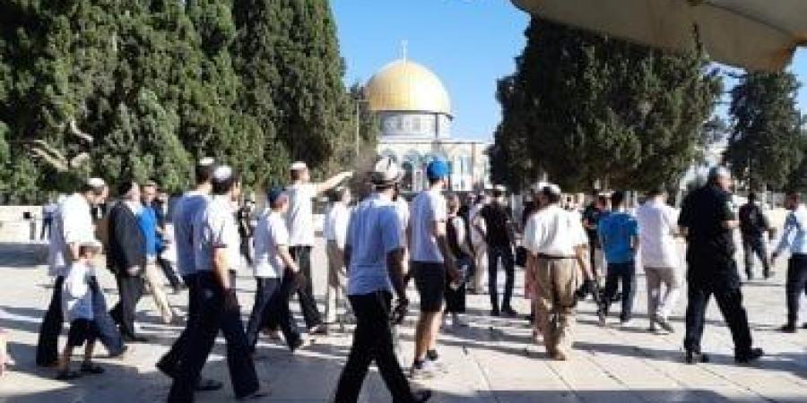 إصابة 7 فلسطينيين فى اعتداء للمستوطنين شمال الخليل - الأول نيوز