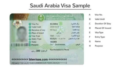 التقديم على تأشيرة العائلة المتعددة