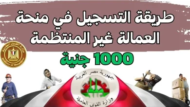 منحة العمالة غير المنتظمة
