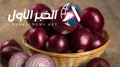 سعر البصل في مصر اليوم