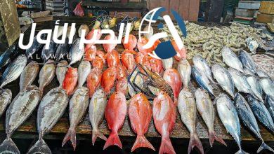 أسعار السمك اليوم السبت