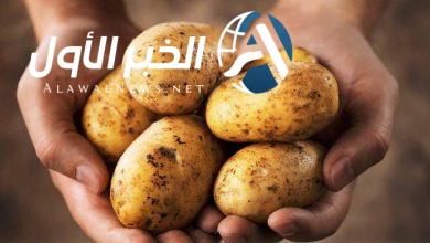 أسعار البطاطس في سوق العبور