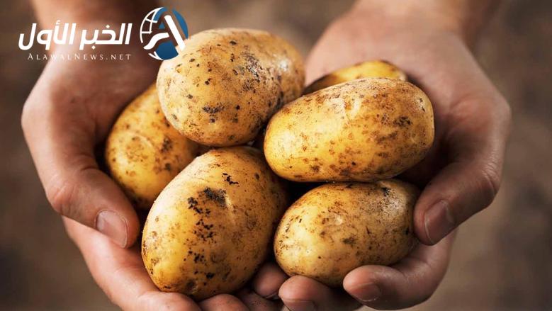 أسعار البطاطس في سوق العبور