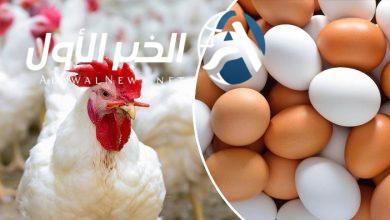 سعر الدواجن في مصر اليوم 10 مايو