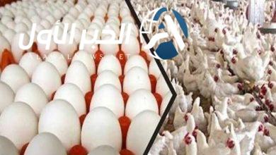 أسعار الدواجن