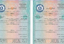 استخراج شهادة ميلاد رقمية للأسر الحاضنة