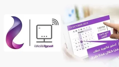 اسهل طريقة للاستعلام عن فاتورة الهاتف الأرضي في مصر
