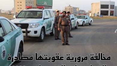 الأمن العام