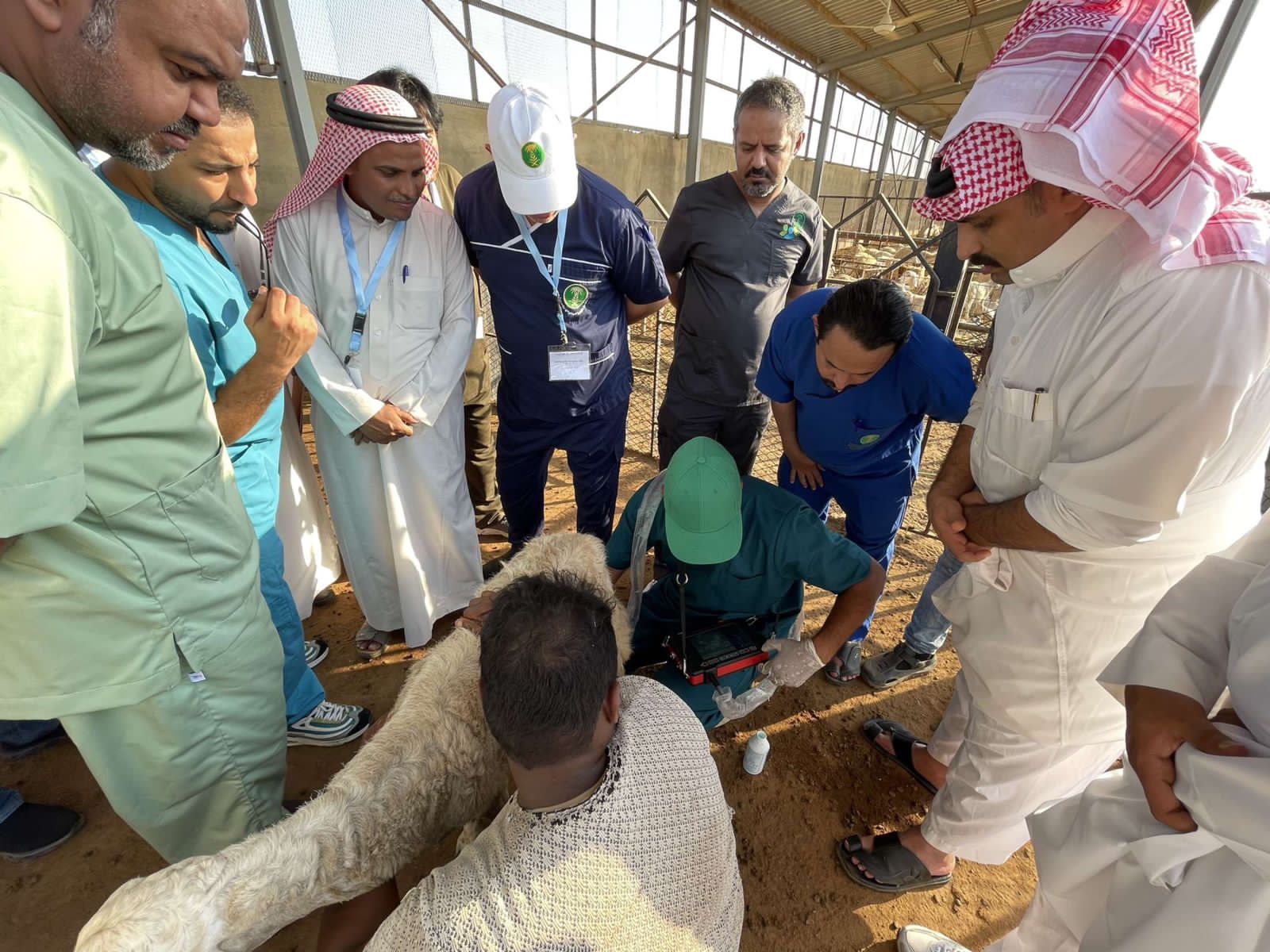 الإرشاد الزراعي