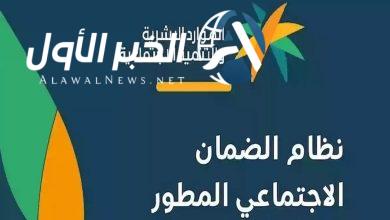 الاستعلام عن تفاصيل الدفعة في الضمان الاجتماعي المطور