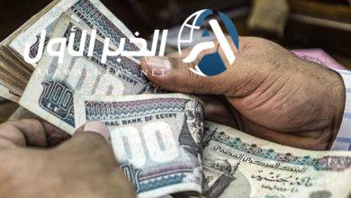 الاستعلام عن رواتب الموظفين
