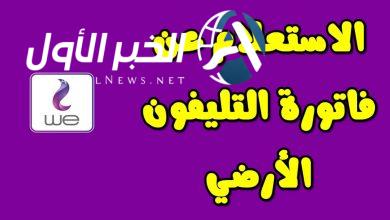 الاستعلام عن فاتورة الأرضي 