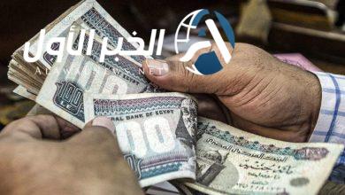 وزارة البترول
