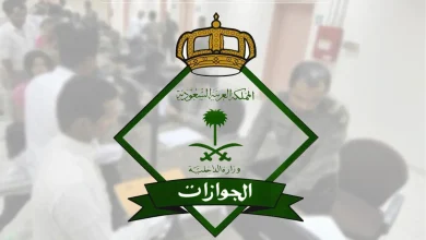 جواز السفر الإلكتروني للسفر