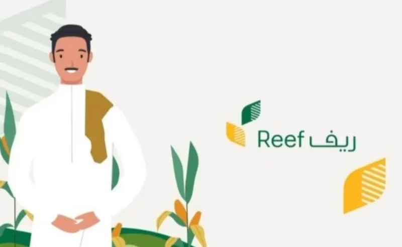 دعم التنمية الريفية