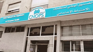 التسجيل الجديد في كنوبس