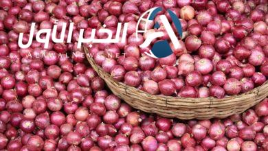 سعر البصل