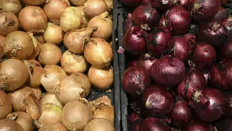 سعر البصل اليوم