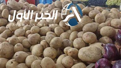 سعر البطاطس