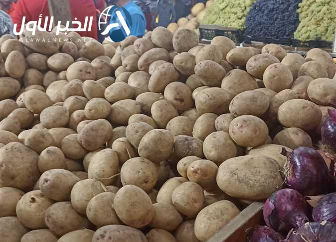 سعر البطاطس